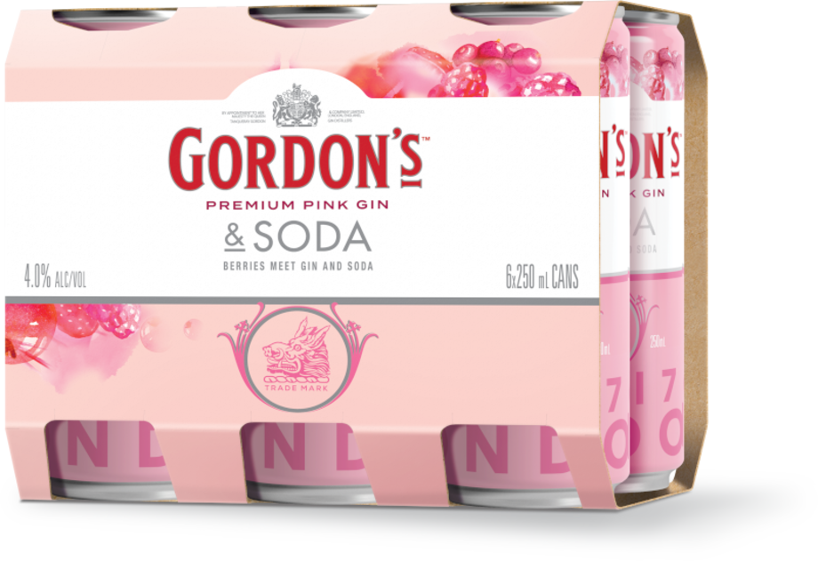 Gordons Pink and Soda 4% 250mL Can 4x6 Pack Gordons Pink and Soda 4% 250mL Can 6 Pack - Image 1